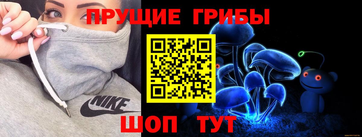 Галлюциногенные грибы мицелий  Вход с VPN  Качканар 